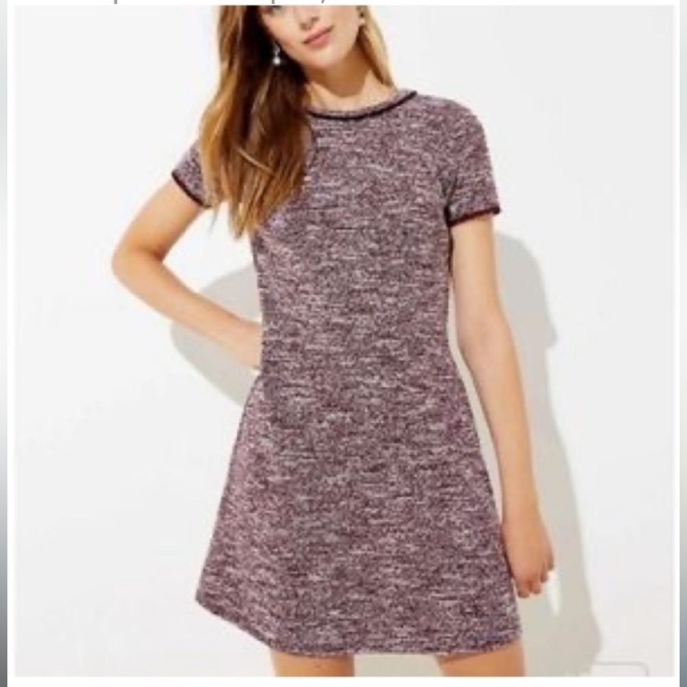 Loft Boucle Shift Dress 14 Tall